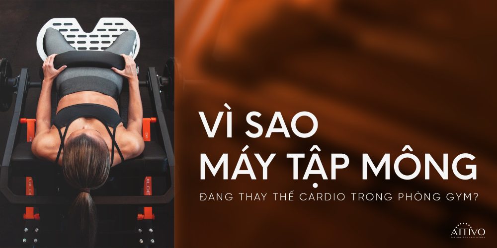 Cardio Đang Dần Bị Thay Thế? Vì Sao Máy Tập Mông & Strength Training Trở Thành Xu Hướng Mới 3