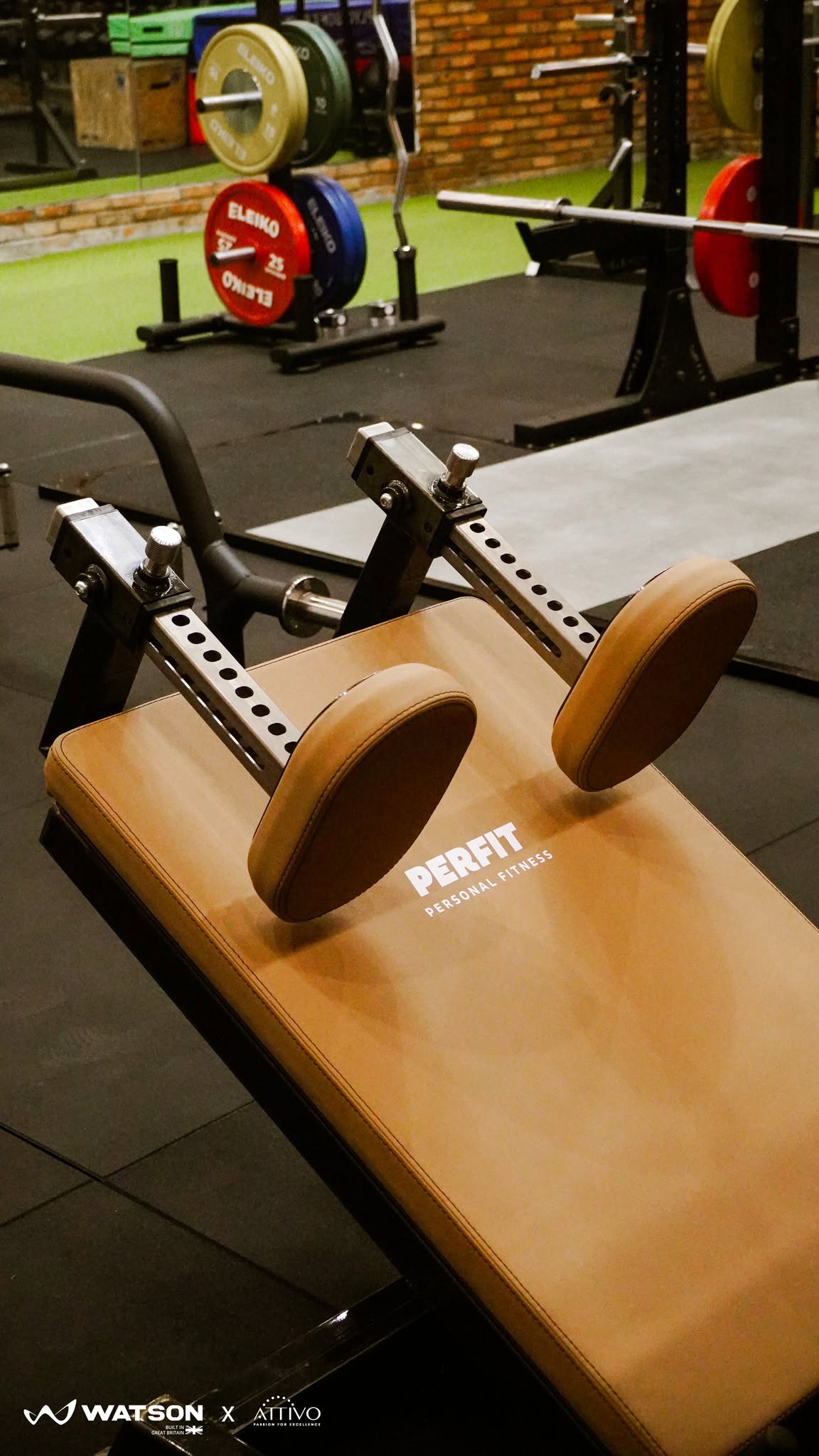 Perfit 5