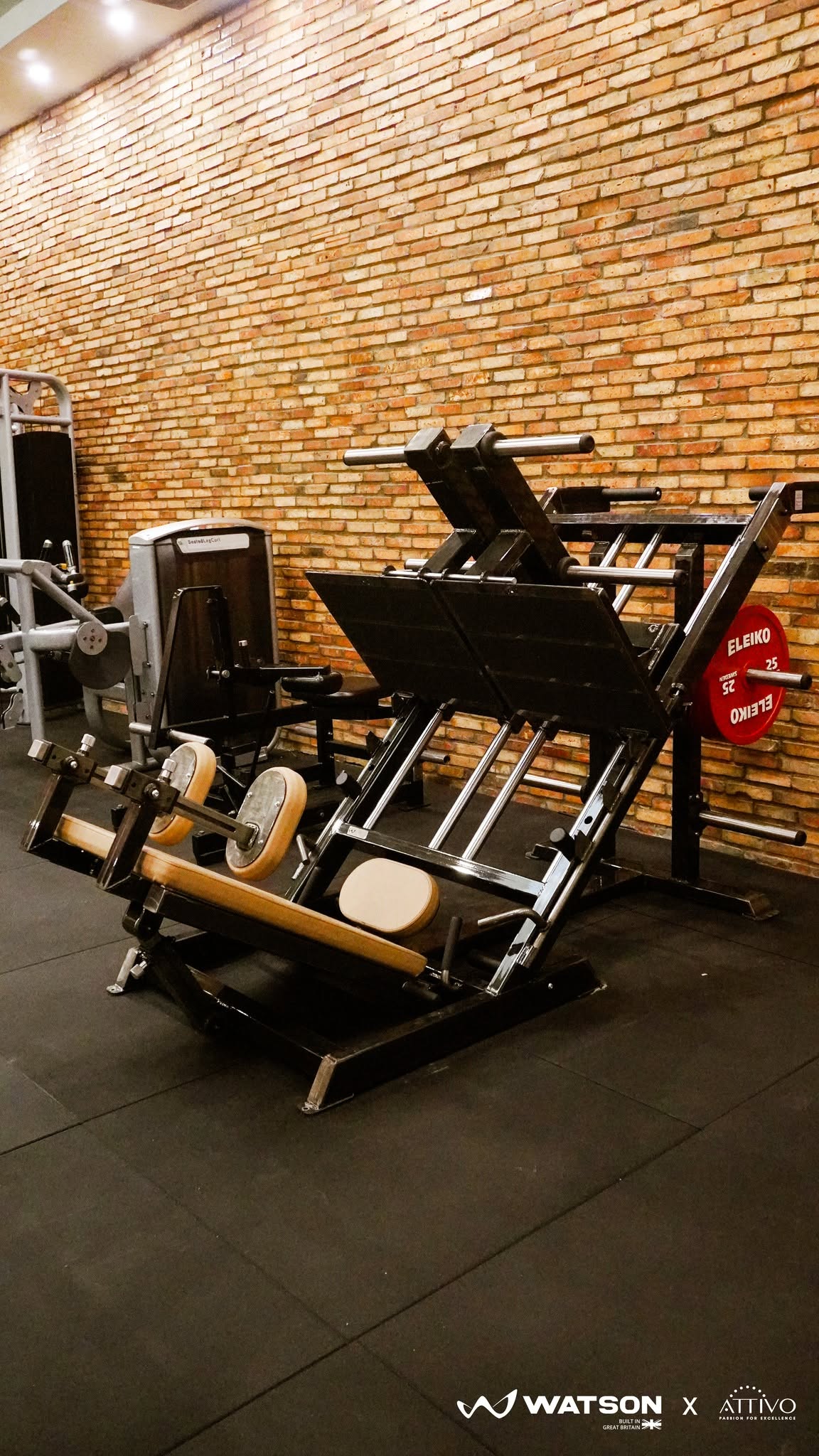 Perfit 7