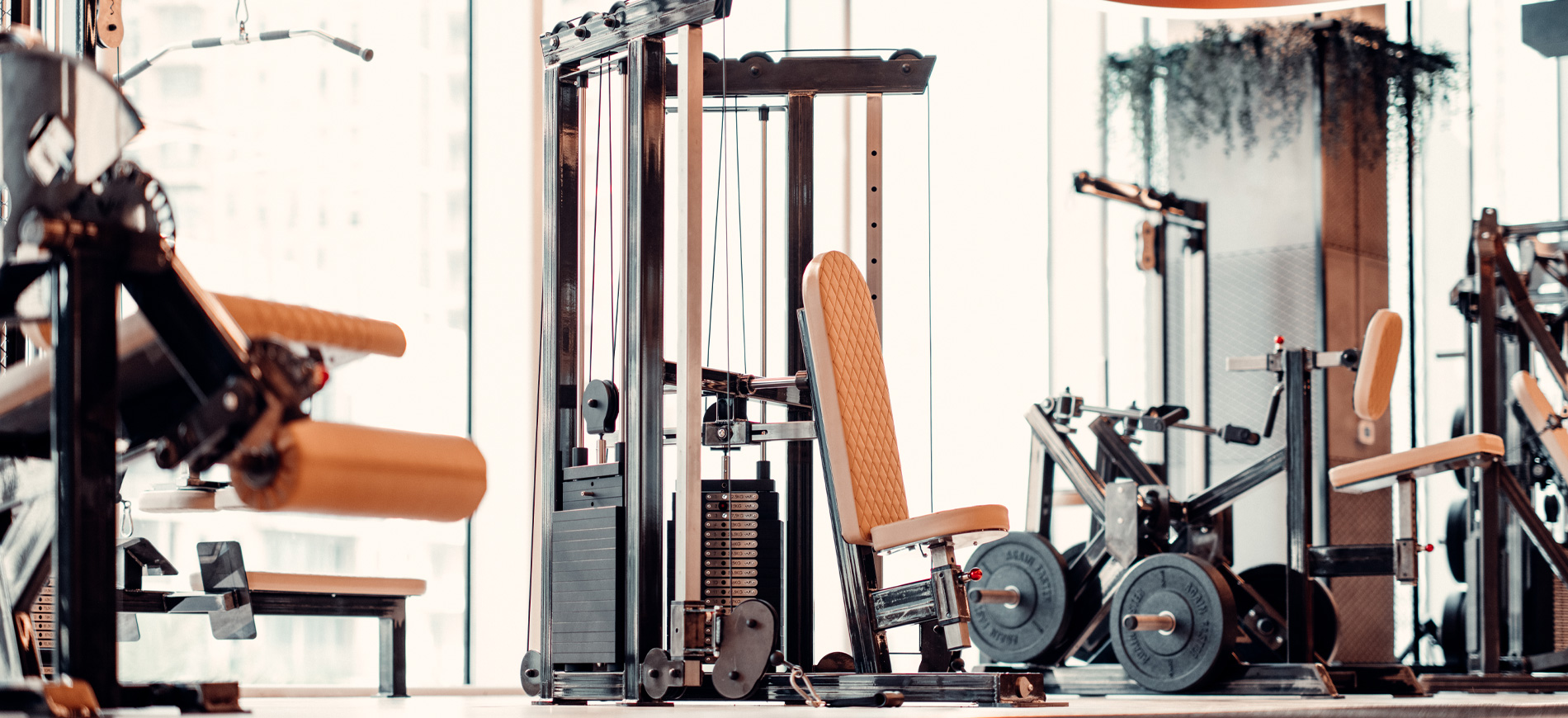 Watson Dual Stack Machines