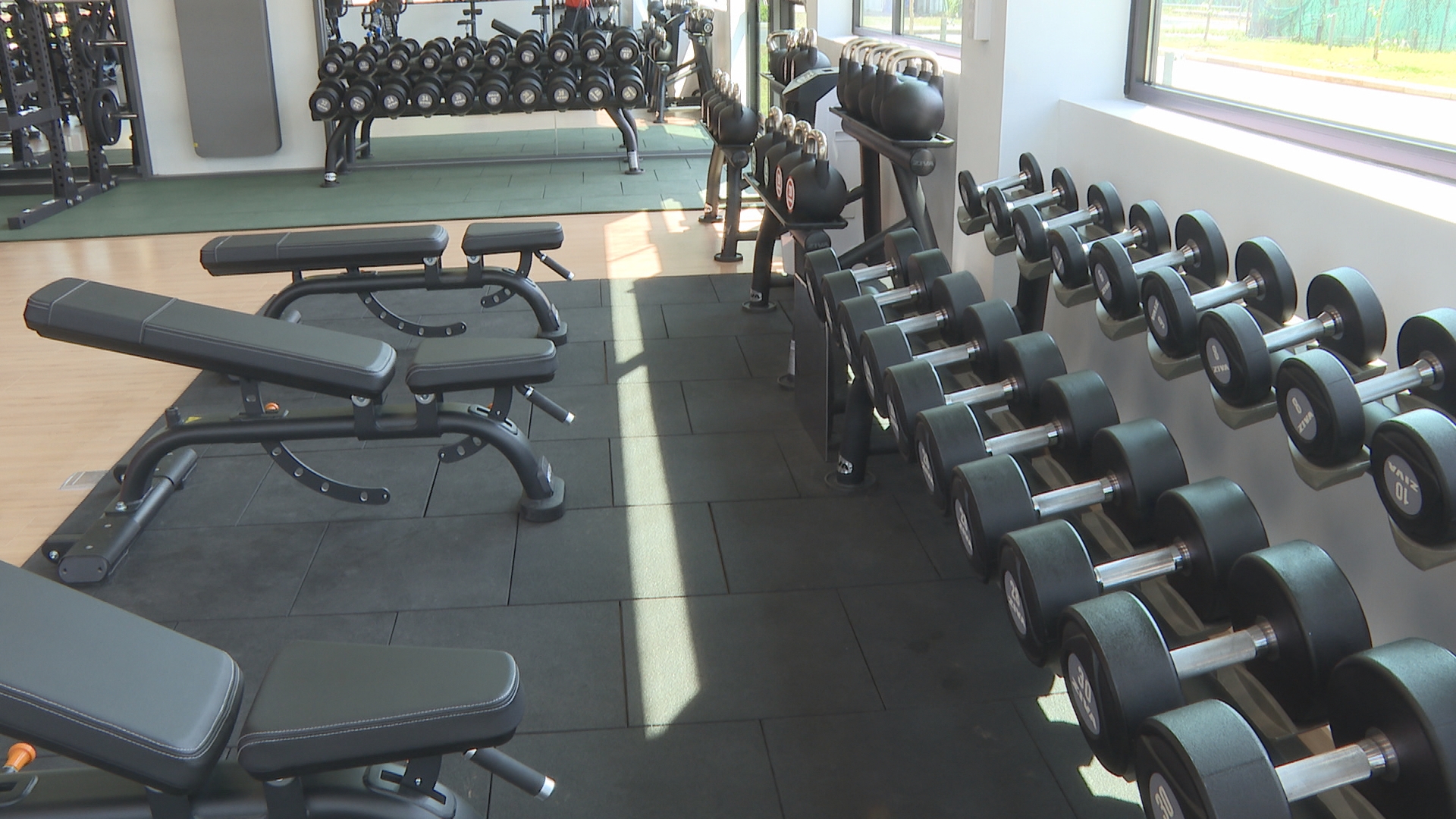 Corporate Wellness Cho Doanh Nghiệp Công Nghệ: Điển Hình Dự Án Tại Intel & Viettel 3 Khu vực tạ tự do ZIVA và ghế tập đa năng trong phòng gym văn phòng Intel