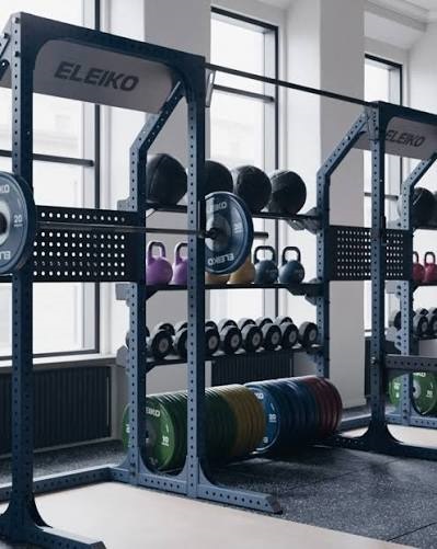 Eleiko Technique Olympic Disc Storage Tree