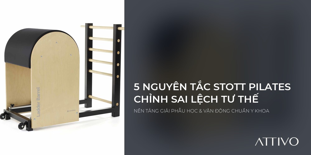 5 nguyên tắc STOTT PILATES chỉnh sửa sai lệch tư thế chuẩn y khoa