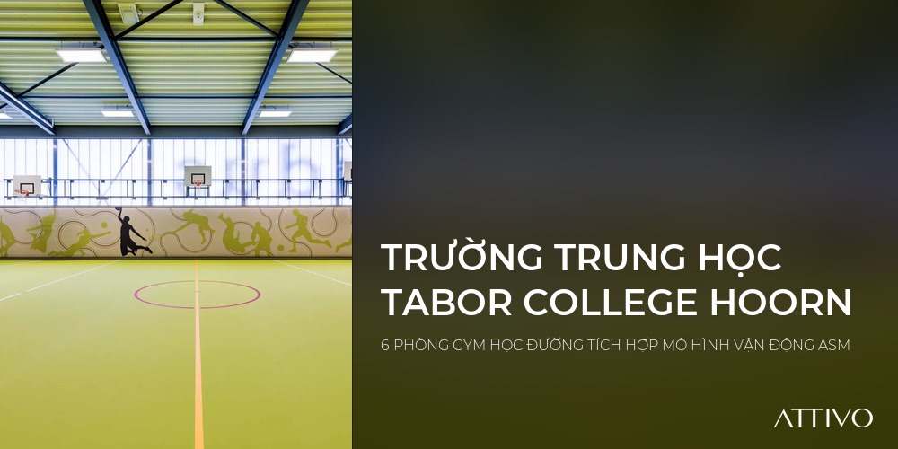 TRƯỜNG TRUNG HỌC TABOR COLLEGE HOORN - 6 PHÒNG GYM HỌC ĐƯỜNG TÍCH HỢP MÔ HÌNH VẬN ĐỘNG ASM | Attivo International