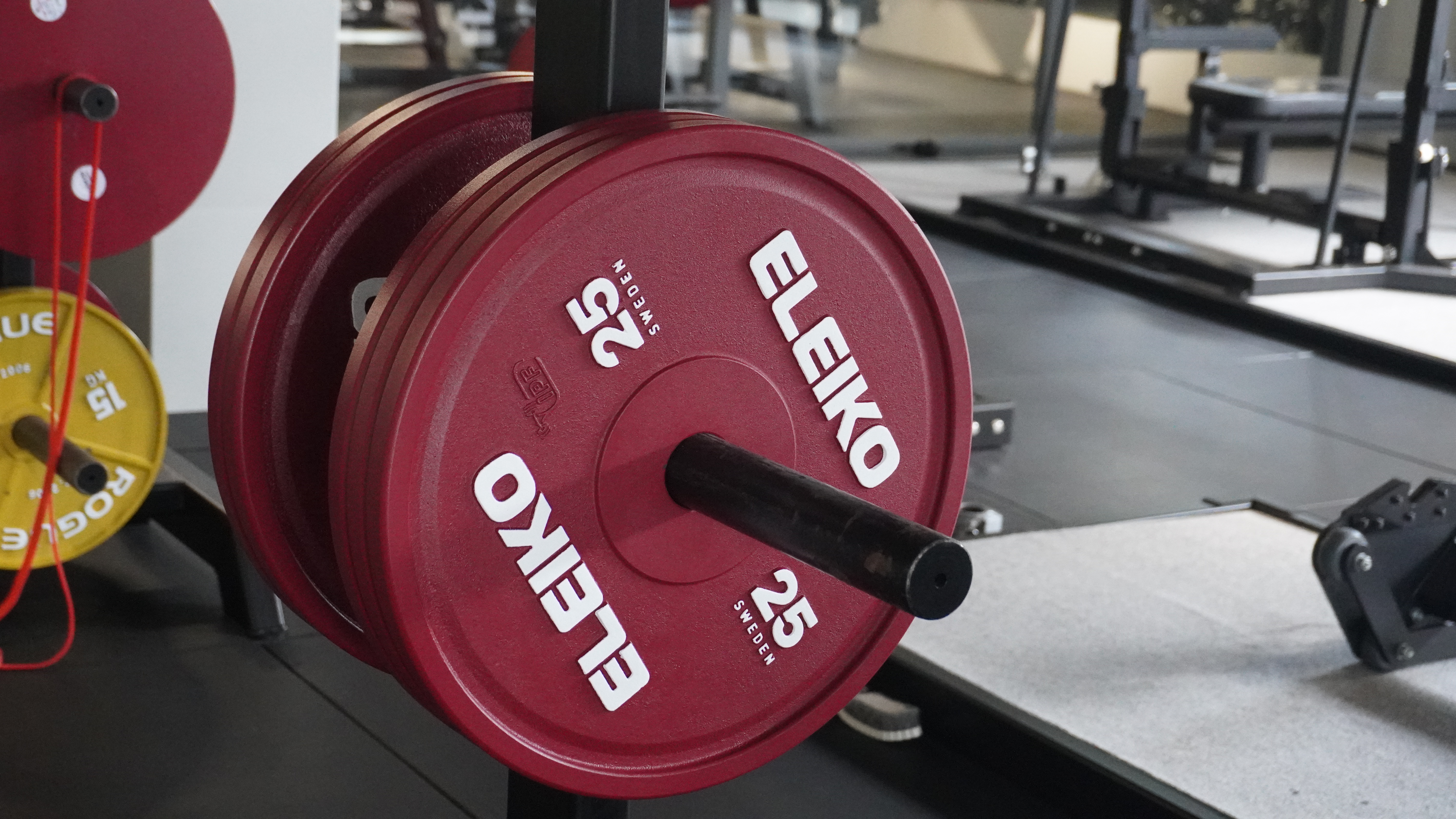 Bàn Giao Hệ Thống Fitness Chung Cư Cao Cấp Dragon Prime Thủ Đức: Tiện Ích Sống Khỏe Toàn Diện 3 Dự án Dragon Prime Thủ Đức - Hình ảnh thực tế 2