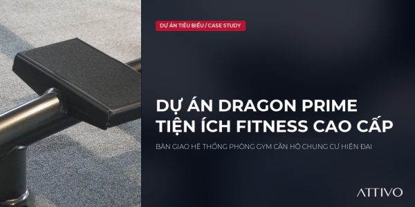Bàn Giao Hệ Thống Fitness Chung Cư Cao Cấp Dragon Prime Thủ Đức: Tiện Ích Sống Khỏe Toàn Diện 2