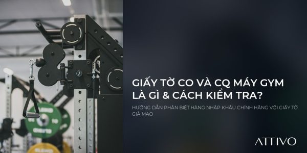 Giấy Tờ CO và CQ Của Máy Gym Là Gì? Hướng Dẫn Cách Kiểm Tra Hàng Chính Hãng 3