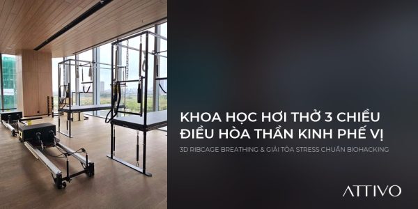 Khoa học hơi thở lồng ngực trong Pilates điều hòa hệ thần kinh phế vị