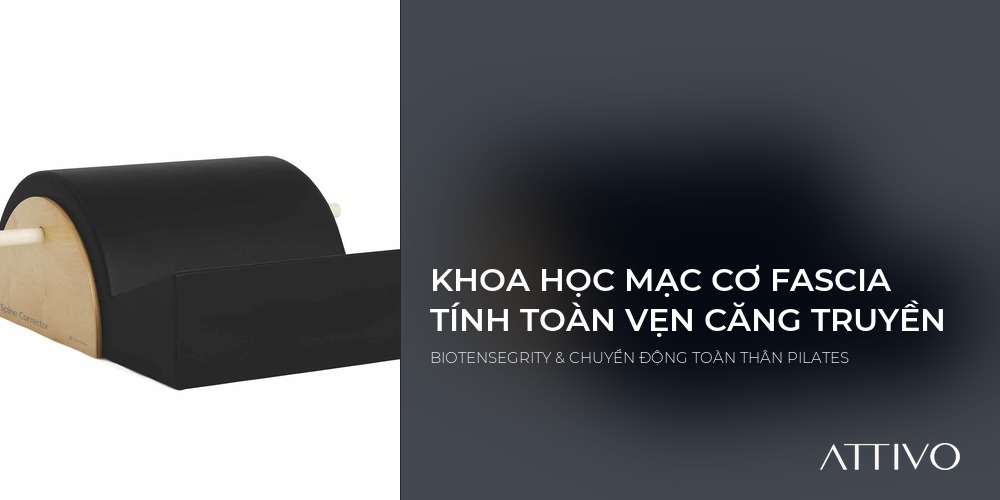 Khoa học mạc cơ trong Pilates tính toàn vẹn căng truyền Biotensegrity