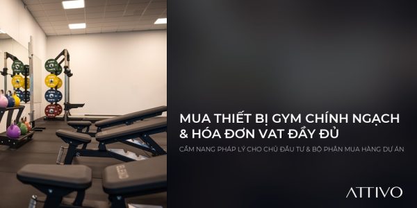 Mua Thiết Bị Gym Chính Ngạch & Hóa Đơn VAT Đầy Đủ: Cẩm Nang Pháp Lý Cho Chủ Đầu Tư & Bộ Phận Mua Hàng 6