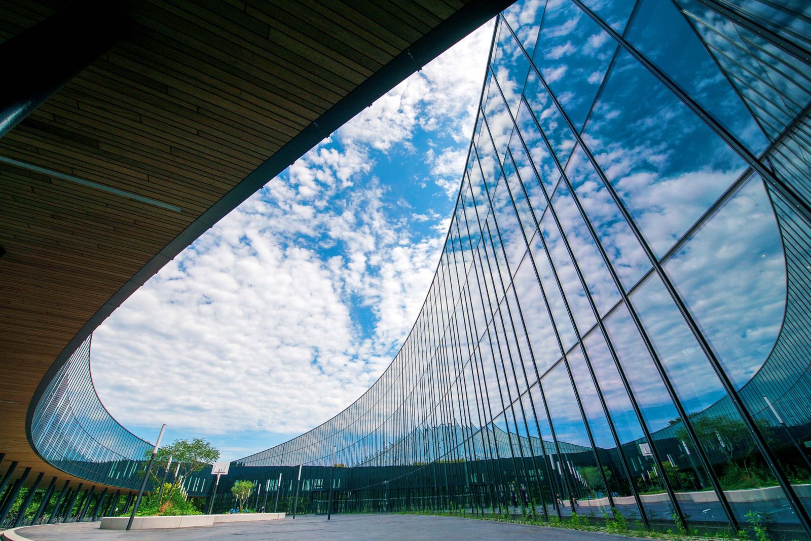Dự án sàn Pulastic Sportcampus - Toàn cảnh dự án sàn thể thao Pulastic tại Sportcampus Zuiderpark - The Hague (Den Haag)