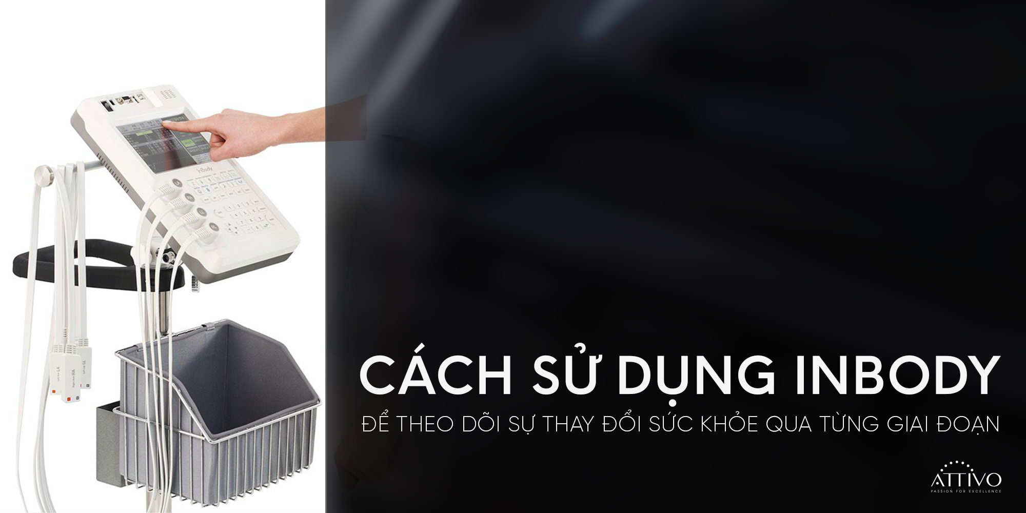 Máy đo InBody - Cách sử dụng InBody để theo dõi sự thay đổi sức khỏe qua từng giai đoạn