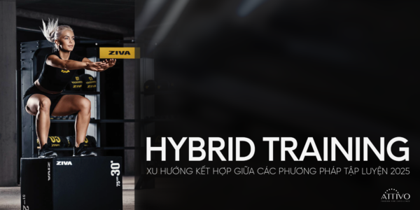 hybrid training