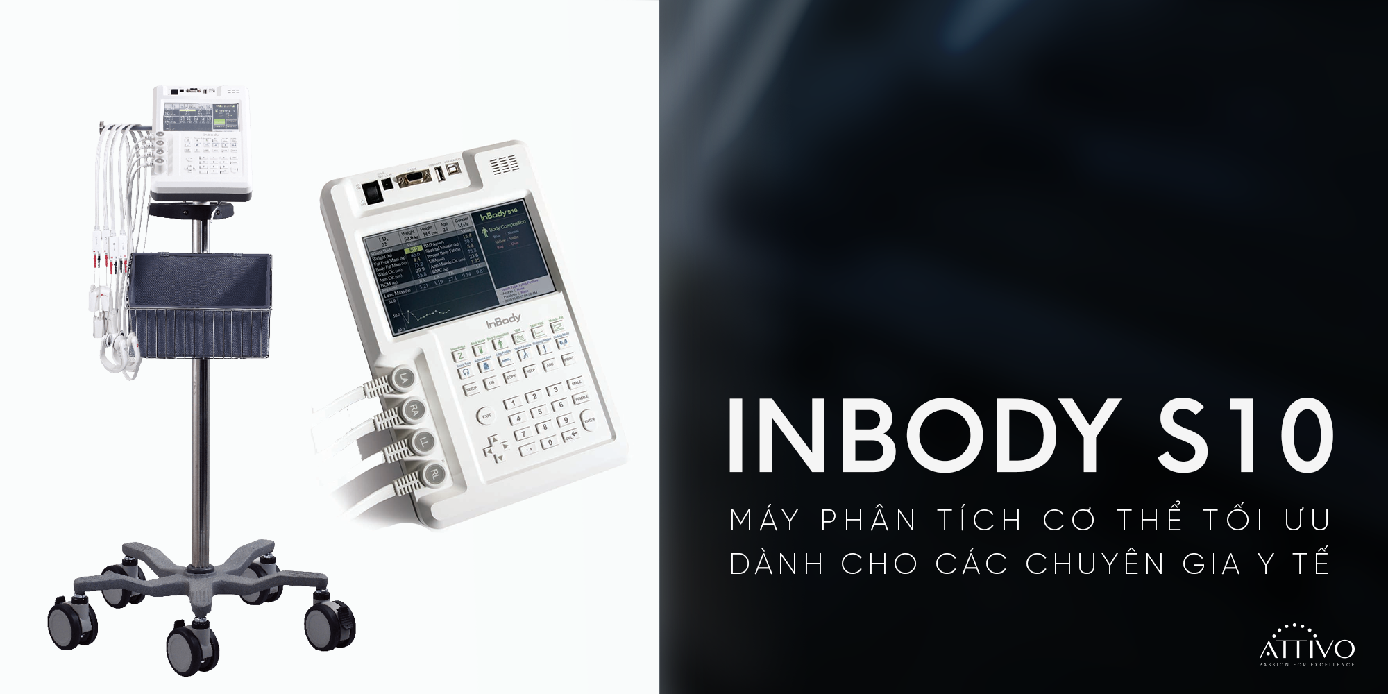 Máy đo InBody - InBody S10: Máy phân tích cơ thể tối ưu dành cho các chuyên gia y tế