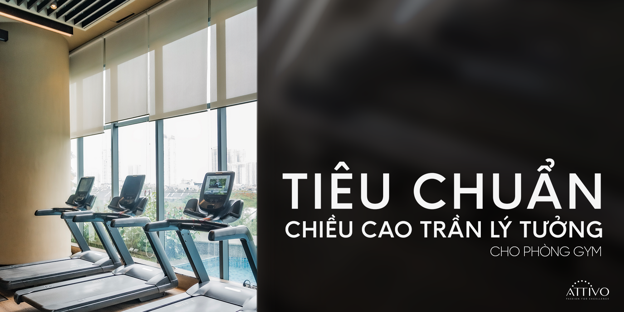 Tiêu Chuẩn Chiều Cao Trần Lý - Tiêu Chuẩn Chiều Cao Trần Lý Tưởng Cho Phòng Gym