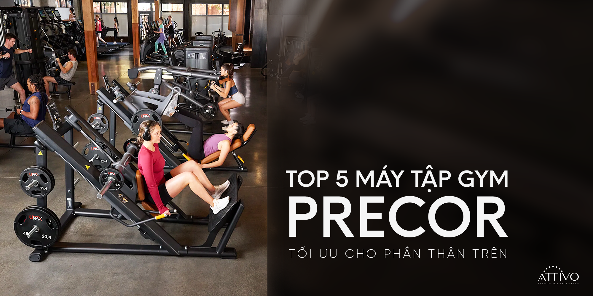 Thiết bị gym Precor - Top 5 máy tập Gym Precor tối ưu cho phần thân trên