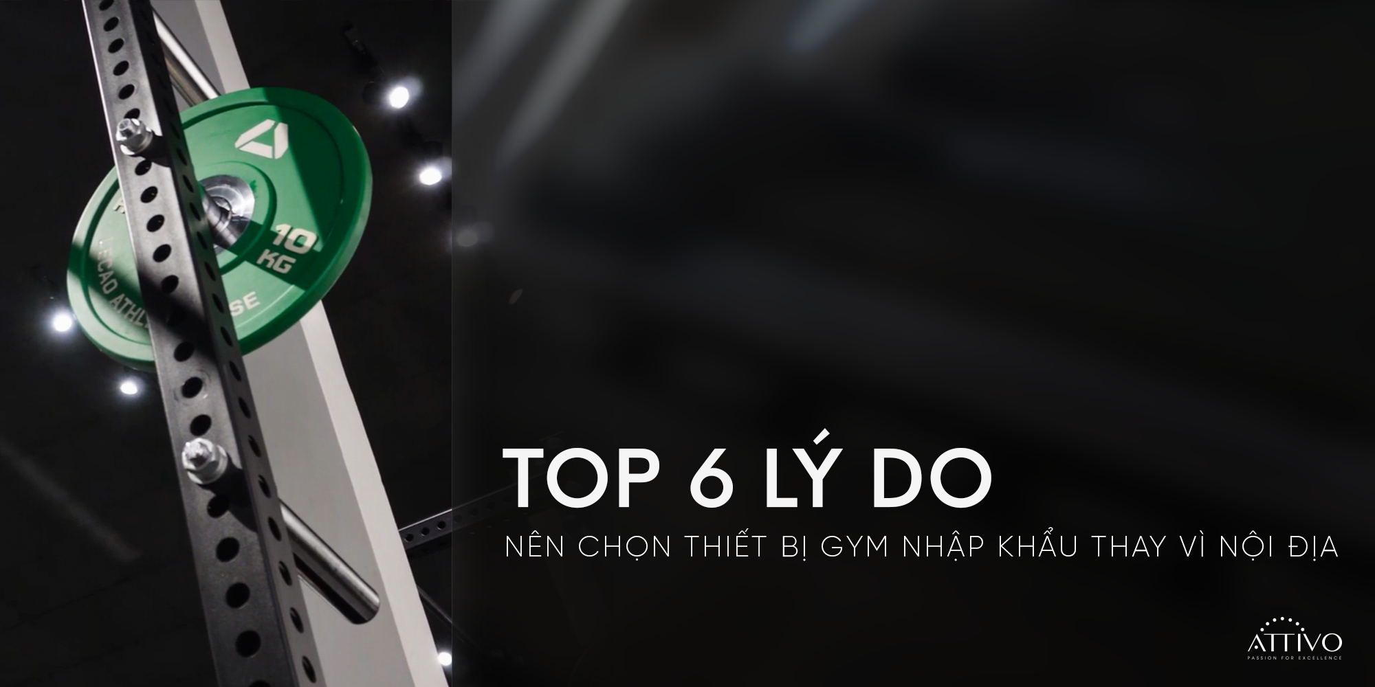 Thiết bị phòng gym cao cấp - 6 LÝ DO NÊN CHỌN THIẾT BỊ GYM NHẬP KHẨU THAY VÌ NỘI ĐỊA
