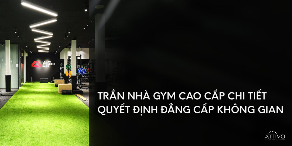 Trần Nhà Gym Cao Cấp: 3 Nguyên Tắc Thiết Kế Quyết Định Trải Nghiệm & Doanh Thu 8