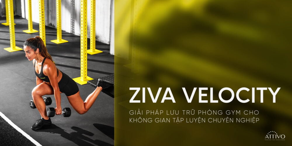 3 Lý Do Giải Pháp Lưu Trữ Phòng Gym ZIVA Velocity Là Tiêu Chuẩn Chuyên Nghiệp 10