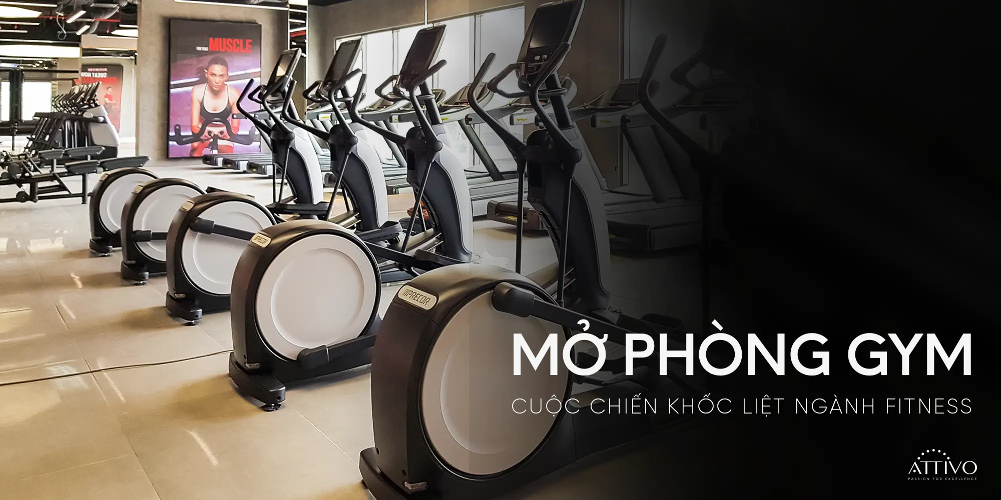Mở Phòng Gym - Mở Phòng Gym: Cuộc Chiến Khốc Liệt Ngành Fitness