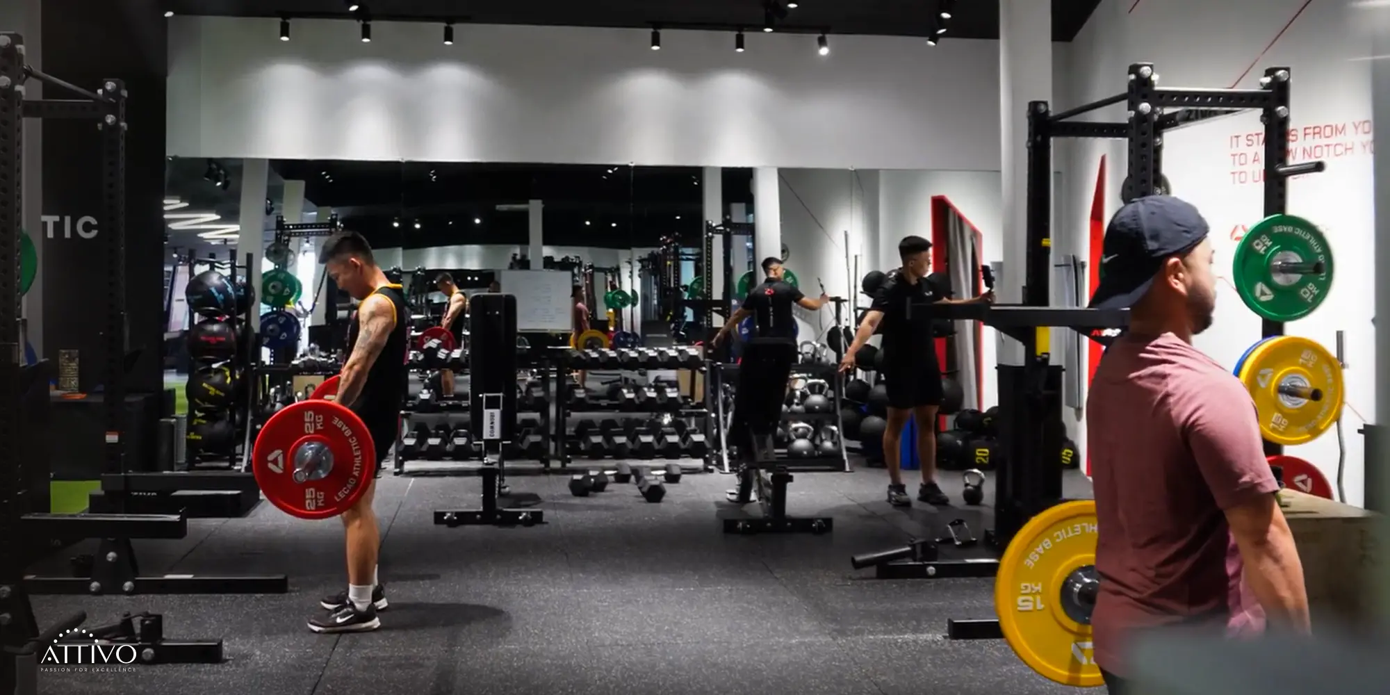 tai-sao-kien-thuc-ve-fitness-quan-trong-khi-mo-phong-gym tai-sao-kien-thuc-ve-fitness-quan-trong-khi-mo-phong-gym