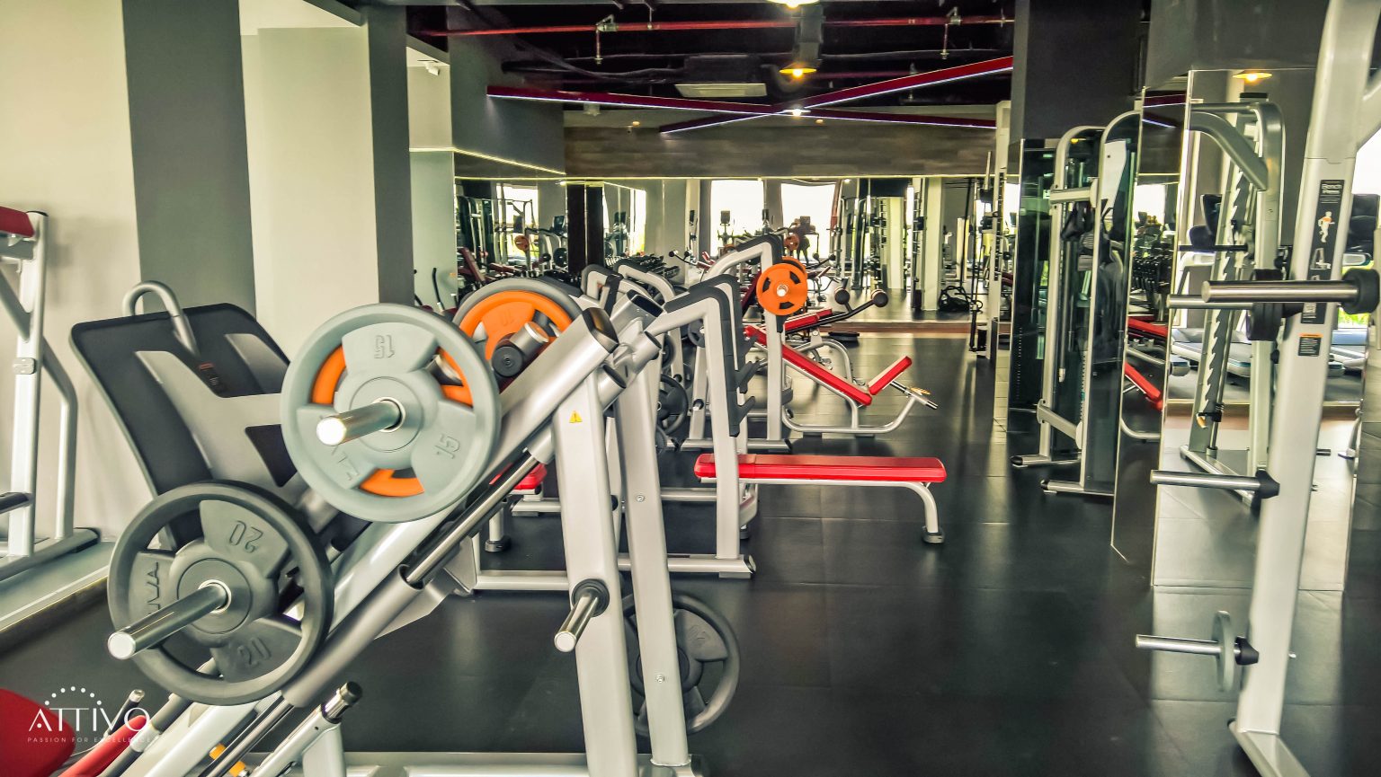 Free Weights